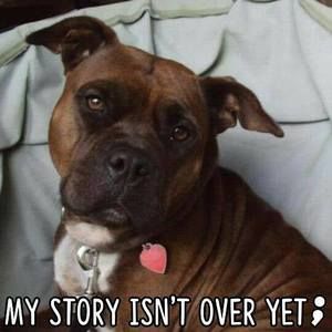 Meet your Posher, Misty